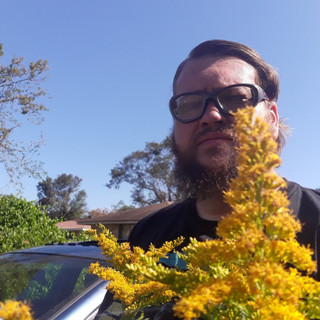 Three Ninjas artist photo