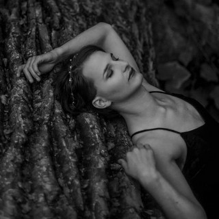 Willow Waters