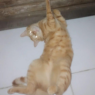 W.W