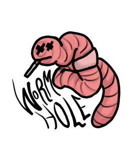 WormHole