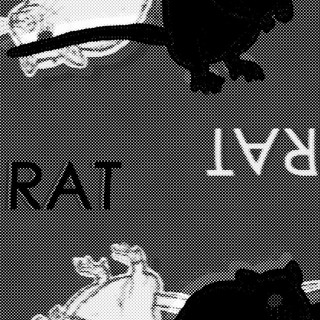 RAT