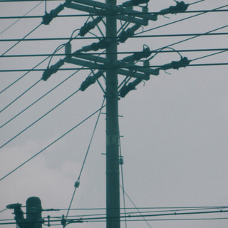夕方の犬(U ・ェ・)