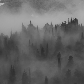 Misty