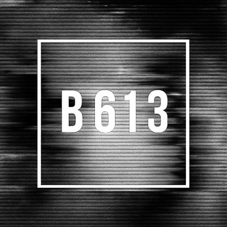 B613