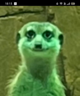 Wêncy