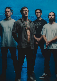 mirrors cover