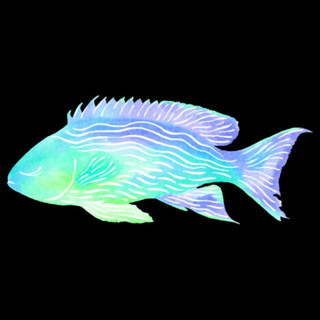 Freakyfishth1ng