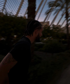 FullyHoncho