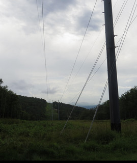 The Nonlovers poster