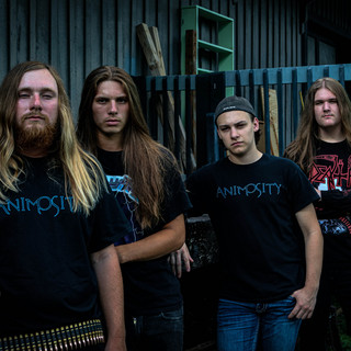 Animosity