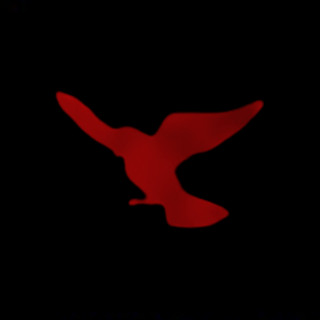 bludbird