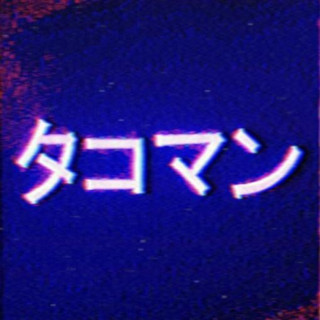 タコ Photo
