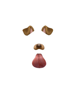 damo