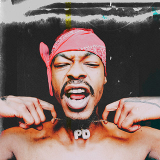 Pablo D cover