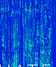 hate campaign artist photo