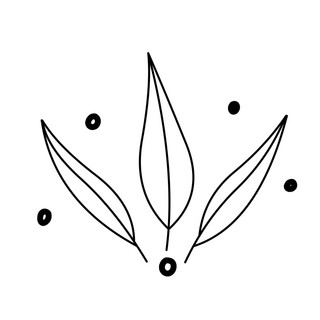 ucalyptus