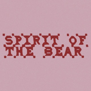 Spirit of the Bear