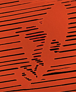 AYB