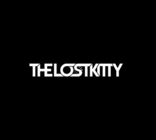 The Lost Kitty