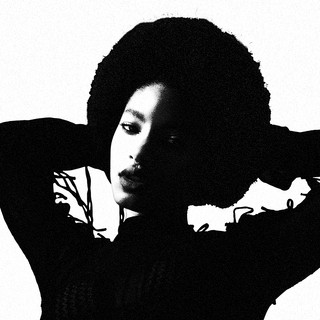Willow cover