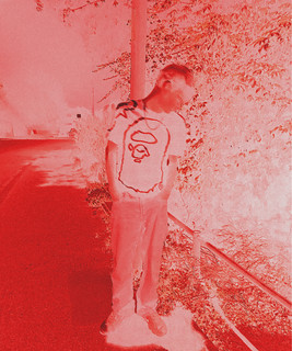 Tayko