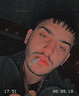 Narco Dogs Photo