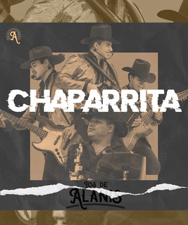 Los de Alanis poster