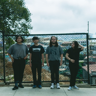 Protozoo Photo