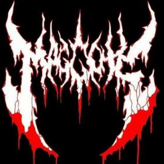 Maggots