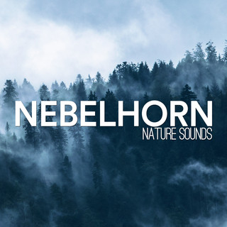 Nebelhorn Photo