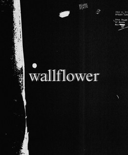 wallflower