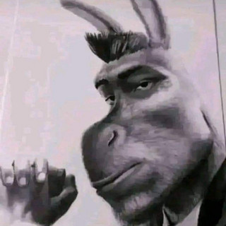 al1ko