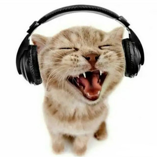 DJ FK4