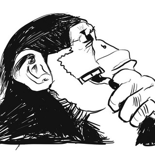 Primates Photo