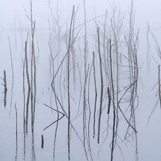 Olhava Photo