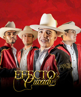 Efecto Privado