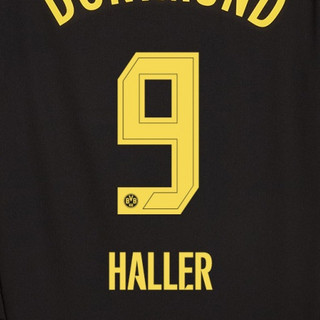Z Haller