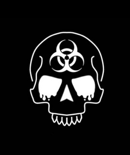 Agents Of Chaos
