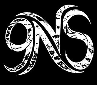 9NS