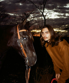 Dezert Horse
