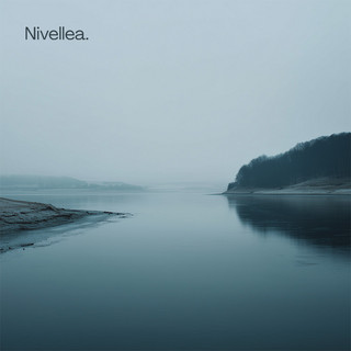 Nivellea