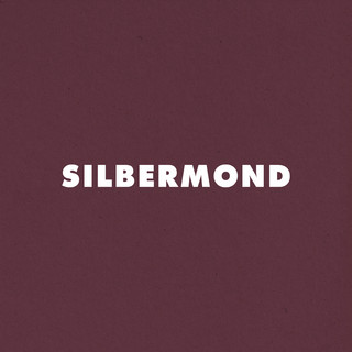 Silbermond poster
