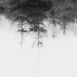 Pure Field Recordings