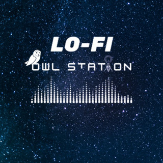Lo-Fi Owl Station
