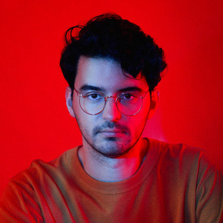 Zimmer cover