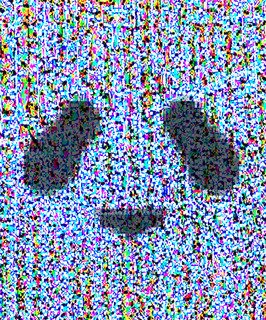 Panda Grass Photo