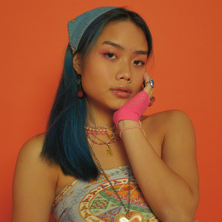Erika cover
