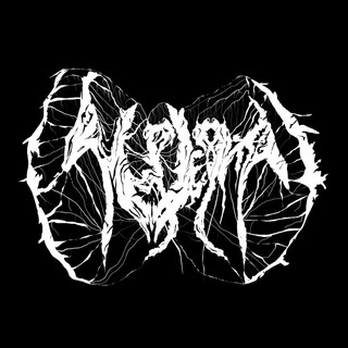 [auloplegma]
