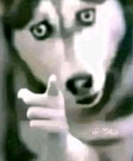 iluvyoustone
