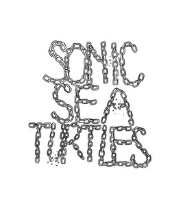 Sonic Sea Turtles